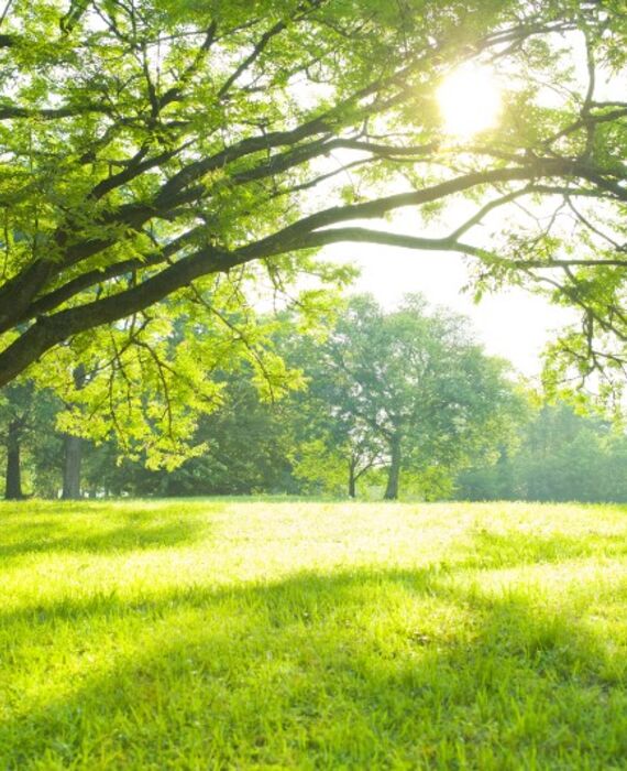 AdobeStock_163062372