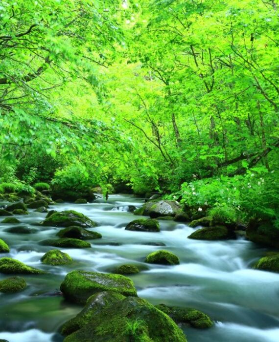 AdobeStock_100690301